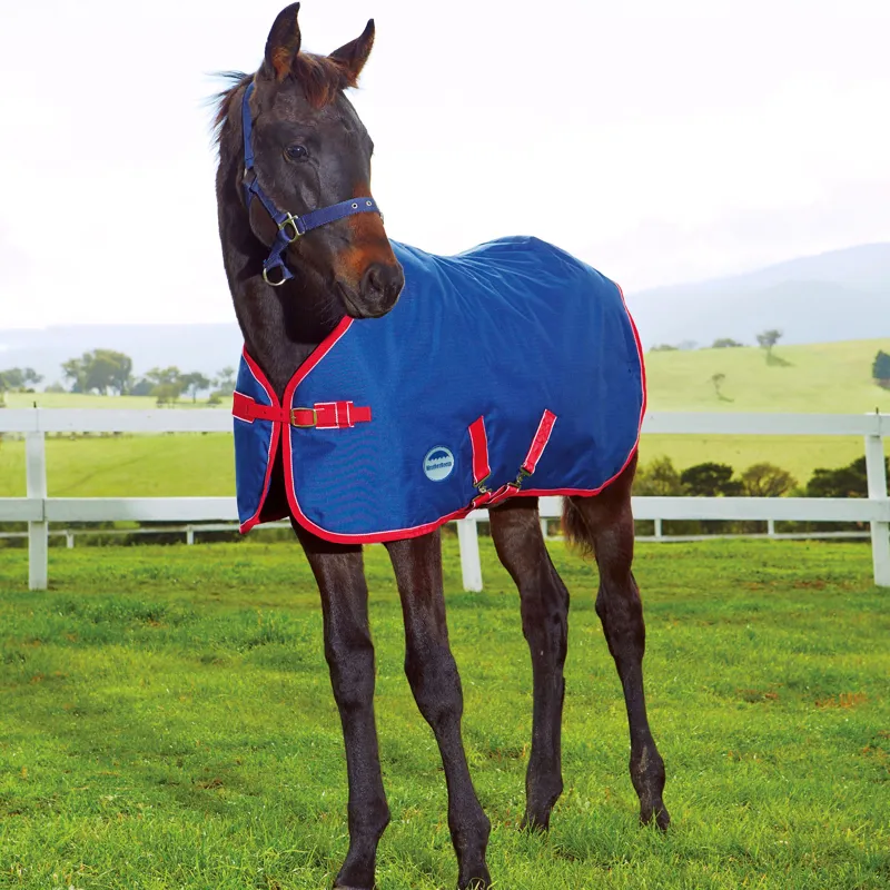 Weatherbeeta Standard Foal Turn Out Rug Navy/Red